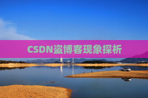 CSDN盗博客现象探析